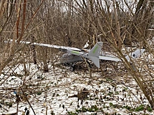 Своей цели ВСУ не достигнут: об атаках беспилотников в Беловодском районе высказался депутат Олег Иванинский
