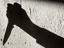 В Петербурге в лесу с мешком на голове нашли похищенного повара-мигранта