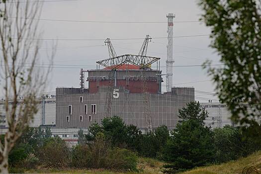 В МАГАТЭ сообщили об отсутствии мин на крышах реакторов Запорожской АЭС
