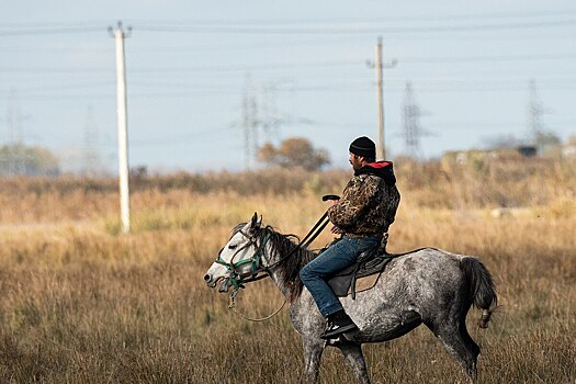 Путешественница поделилась впечатлениями от поездки в Дагестан