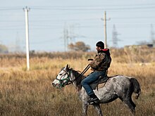 Путешественница поделилась впечатлениями от поездки в Дагестан
