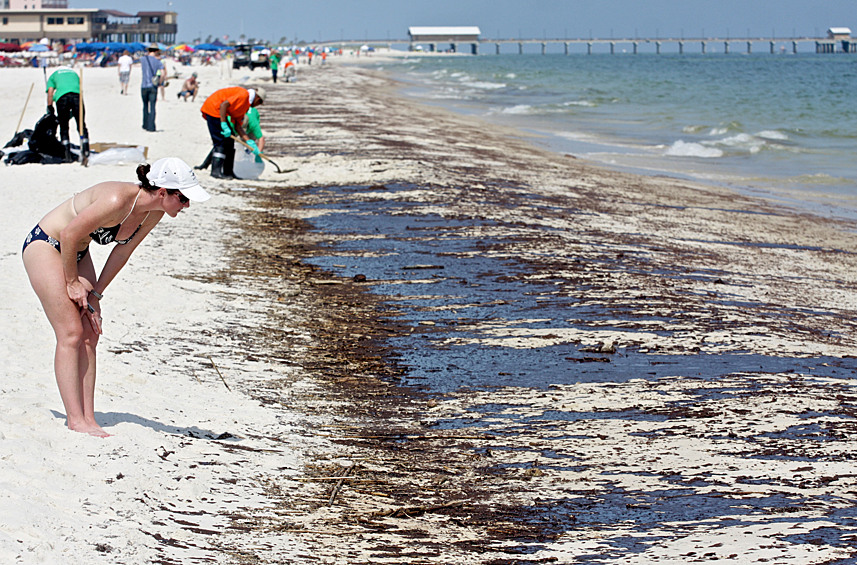 В результате разлива нефти было загрязнено 1770 километров побережья, был введён запрет на рыбную ловлю, для промысла были закрыты более трети всей акватории Мексиканского залива