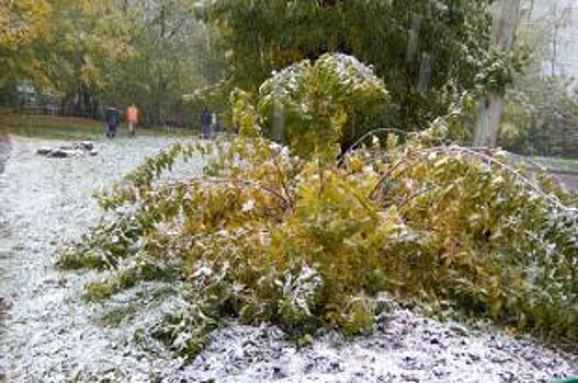 Ночью 8 октября в Прикамье ожидаются дожди со снегом и сильный ветер