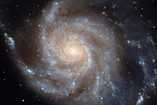 Российские ученые исследовали распределение элементов внутри скоплений галактик
