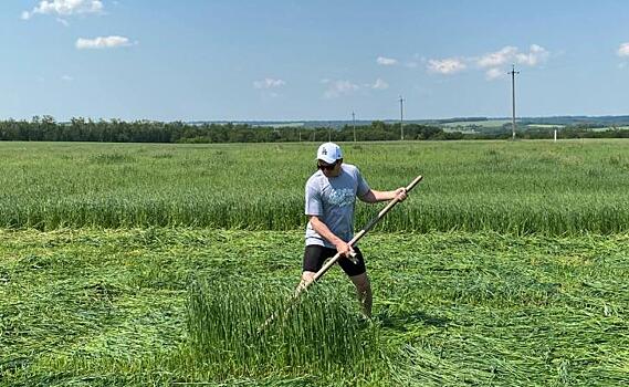 В Солнцевском районе прокуратура добилась расторжения незаконного договора аренды земли