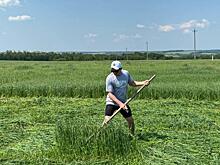 В Солнцевском районе прокуратура добилась расторжения незаконного договора аренды земли