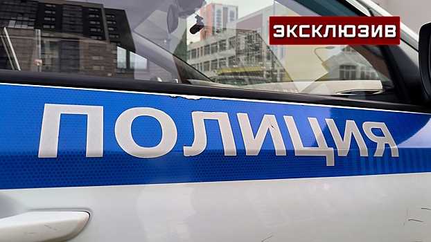 Очевидица: расстрелянную жительницу Подольска пытались спасти друзья