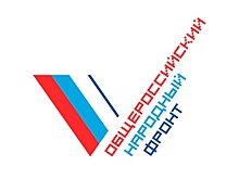 Волонтерский штаб создан в Нижегородской области
