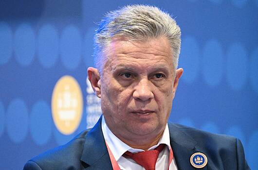 Молдавский депутат оценил опасность посещения России