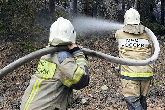 МЧС получит в свое распоряжение до 5 тысяч призывников срочной службы