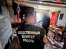 Жителя Лопатинского района обвинили в смерти двоюродного брата