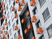 В Подмосковье мужчина выбросил из окна двух котов