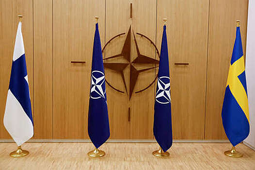 В Швеции партии противников членства в НАТО не позвали на встречу с генсеком альянса