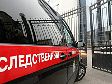 Смерть Шишмаревой признали самоубийством