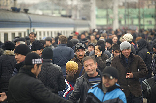 За месяц в Россию приехали на работу порядка 600 узбекистанцев