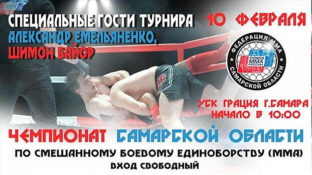 В Самаре пройдет чемпионат области по смешанному боевому единоборству