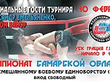 В Самаре пройдет чемпионат области по смешанному боевому единоборству