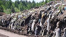 В Коми предложили вывозить мусор в Кировскую область