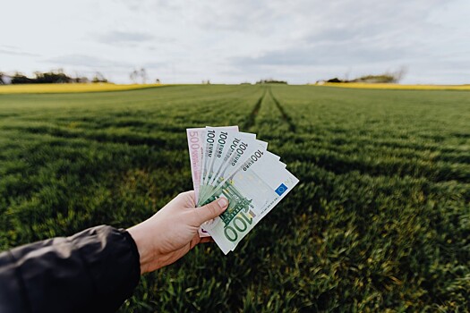 На поддержку работающих на "Усольехимпроме" компаний выделят до 50 млн рублей
