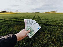На поддержку работающих на "Усольехимпроме" компаний выделят до 50 млн рублей