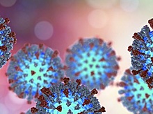 У жительницы Хабаровска, прибывшей из Турции, выявили симптомы кори