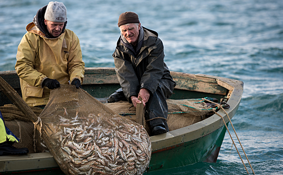 В ЕС энергокризис сочли угрозой для рыболовной отрасли
