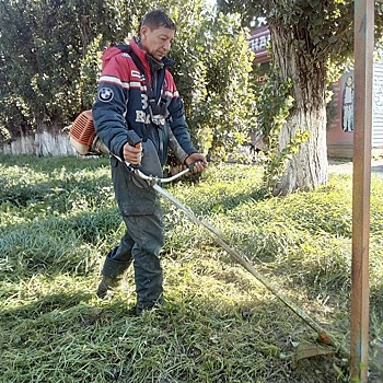 Под Анапой на Счастливой улице обрезали деревья