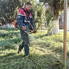 Под Анапой на Счастливой улице обрезали деревья