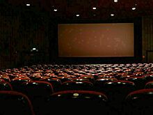 В Петербурге организуют бесплатные кинопоказы для первоклассников  в начале учебного года