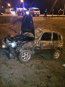 Сегодня ночью на костромской трассе лось попал под колеса сразу двух авто (ФОТО)