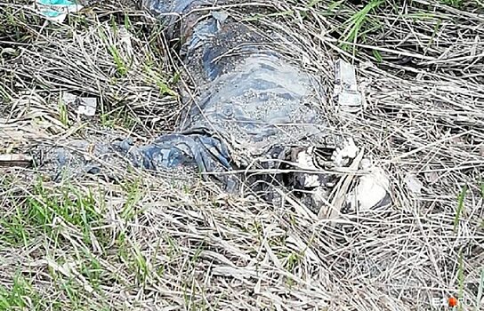 СК о трупе, найденном участниками «Майской велопрогулки» в Екатеринбурге