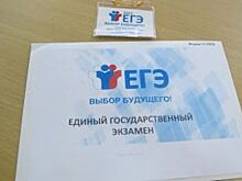 Результаты ЕГЭ по химии и истории стали известны в Челябинской области