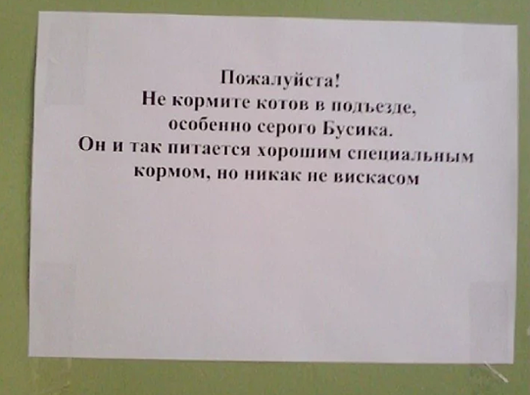 Уважайте кота, не кормите его «Вискасом».