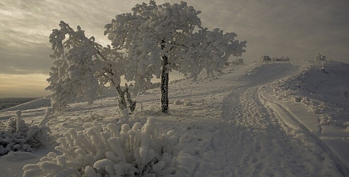 РФ назвали самой красивой страной для отдыха зимой