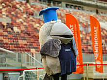 Тигр против Снеговика – «Чемпионат выбрал самого яркого спортивного маскота»