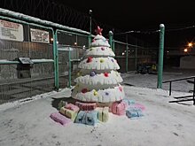 В исправительной колонии Медвежьегорска появилась снежная ель с подарками