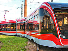 как меняется транспорт Петербурга
