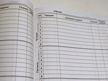 В Новосибирске просят вернуть бумажные дневники из-за проблем с электронными