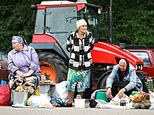 Жители российских мегаполисов стали больше выращивать овощей и фруктов