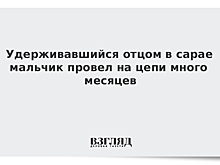 Отец держал сына на цепи в Краснодарском крае