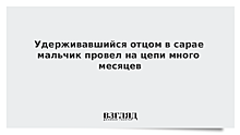 Отец держал сына на цепи в Краснодарском крае