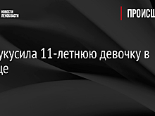 Змея укусила 11-летнюю девочку в Вырице