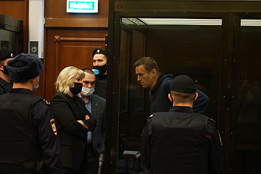 Обвинение просит проверить оскорбления Навального на процессе по делу о клевете