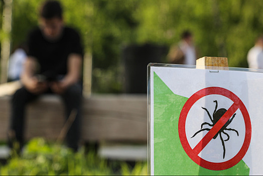 Клещи в Московском регионе будут активны до конца октября