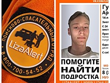 «ЛизаАлерт»: в Новосибирске продолжаются поиски пропавшего 14-летнего подростка