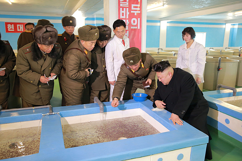 Ранее северокорейских лидер обещал завершить "революционные преобразования в таком направлении, как разведение рыбы в кооперативных хозяйствах"