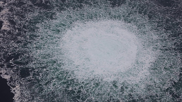 В Бундестаге заявили о необходимости восстановления «Северных потоков»