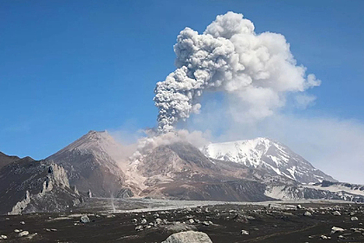 Вулкан на Камчатке выпустил девятикилометровый столб пепла