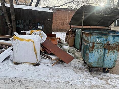 В Чите эконадзор обратился в полицию из-за незаконной разгрузки мусора