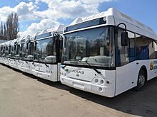 Симферопольский "Горавтотранс" пополнится новыми 25 автобусами